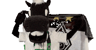 Bundesliga Diefohlen Sticker by Borussia Mönchengladbach