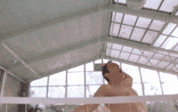 Smash Ben Stiller GIF