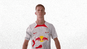 Football What GIF by RB Leipzig