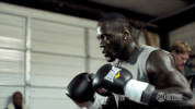 showtime boxing GIF by SHOWTIME Sports