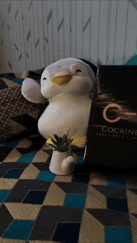 Beauty Love GIF by Cocaine Girl