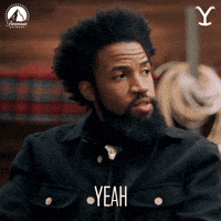 Paramount Network Yes GIF by Yellowstone