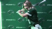 Softball GIF by RiverHawk Sports