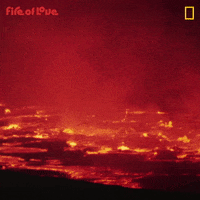 National Geographic Film GIF by Nat Geo Wild