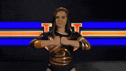 cam newton superman GIF by Auburn Tigers