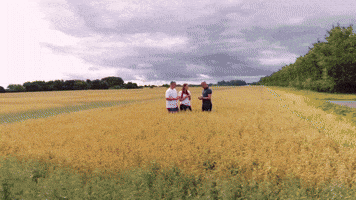 Ausbildung: Verfahrenstechnologe (m/w/d) in der Mühlen- und Getreidewirtschaft – H. & J. Brüggen KG