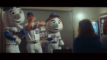 New York Mets Sport GIF by MLB