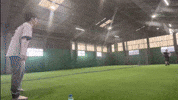 Baseball Throwing GIF