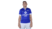 FCdeRakt fc de rakt rik van de boom wegwerpgebaar Sticker