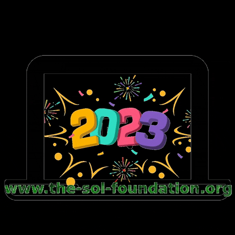 Happy New Year Celebration GIF by The SOL Foundation