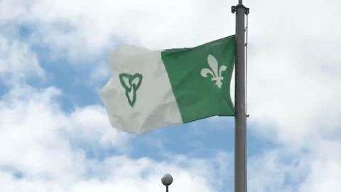 drapeau franco ontarien GIF by Laurentian University