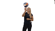 Teamnl Beachvolleybal Sticker by Nevobo