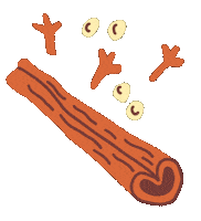 Cinnamon Spices Sticker