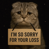 Sorry Cat GIF by Maryanne Chisholm - MCArtist