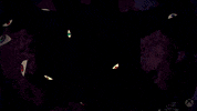 Look Around Game GIF by Xbox