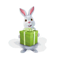 Surprise Gift Sticker by Fibabanka