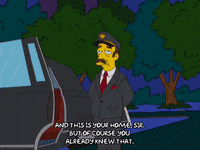 bart simpson episode 3 GIF