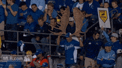 kc GIF by MLB