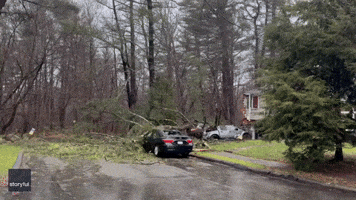 Tree Falls on Several Cars and Damages Home in Massachusetts