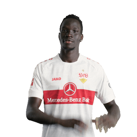 Football Love Sticker by VfB Stuttgart