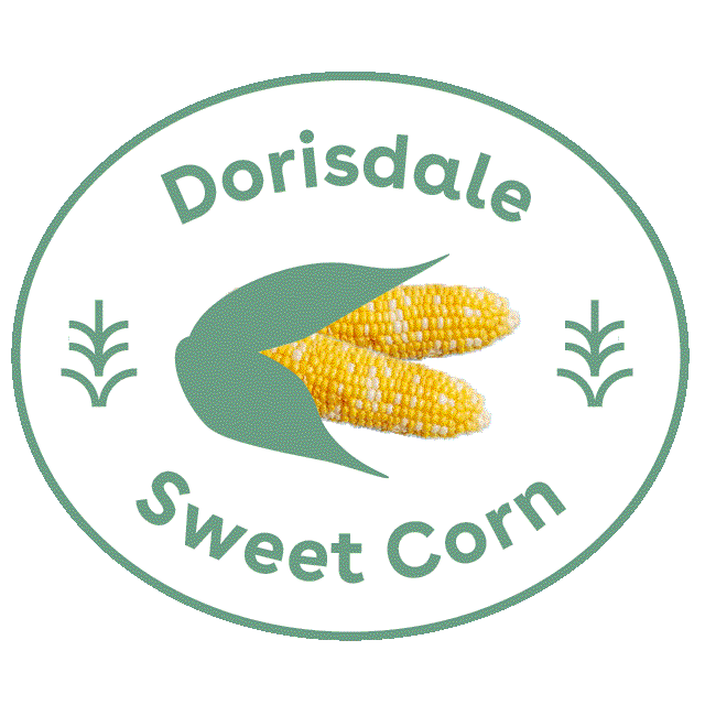 dorisdalefarms giphyupload corn keene sweet corn Sticker