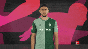Shrugging Werder Bremen GIF by Bundesliga