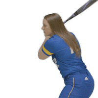 swing bat Sticker by Delaware Blue Hens