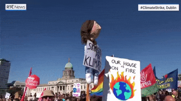 news protest climate change ireland climate crisis GIF