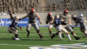Air Force GIF by Air Force Falcons
