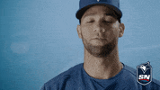 Major League Baseball GIF by Sportsnet