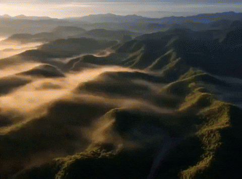 Bangladesh Airtel GIF