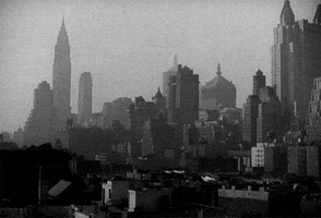 new york GIF by Maudit