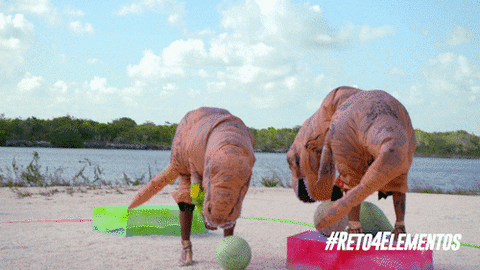 costume dinosaur GIF by Tiny Horse LLC