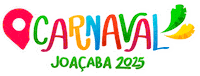 Samba Santacatarina Sticker by Carnaval Joaçaba