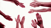 clap omg GIF by Hardly Art