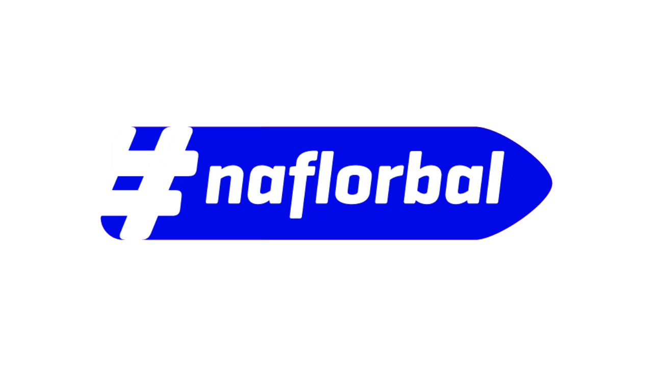 Czech Floorball Sticker by Český florbal
