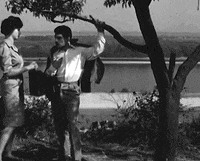 Film Tree GIF