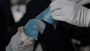 Mark Harmon GIF by CBS