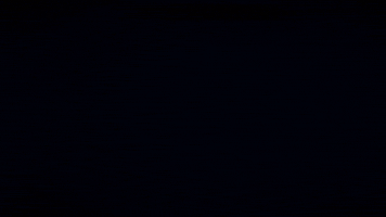 Game Stoat GIF by Devolver Digital
