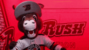Happy Lets Go GIF by Rapid City Rush