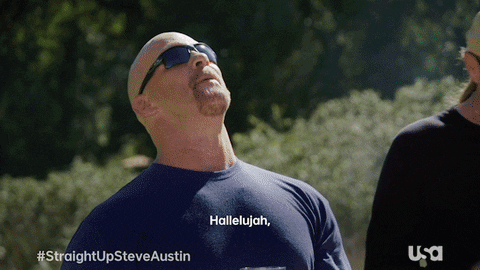 Steve Austin Television GIF by USA Network
