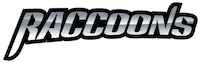 Esslingenraccoons Sticker by myflagfootball