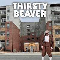 Dive Bar Plaza GIF