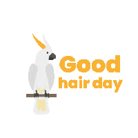 Hair Bird Sticker by Mandai Wildlife Reserve