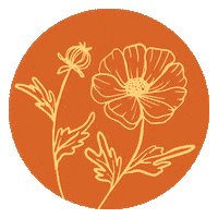 Flower Wildflower Sticker by Harveys Seatbelt Bag