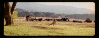 Music Video Eating GIF by Aly & AJ
