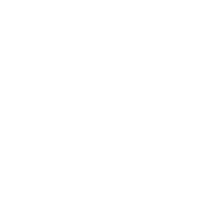 Sparkle Leo Sticker