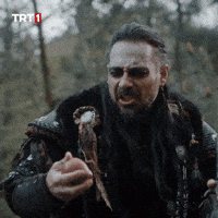 Apple Fruit GIF by TRT