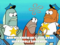 season 6 dear vikings GIF by SpongeBob SquarePants