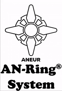 ANEURSL system andamio aneur scaffolds GIF